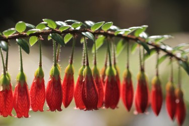 中山小榄8私人快速借钱网，轻松解决资金难题