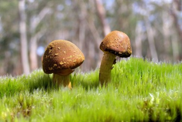 中山小榄8私人老板放款：轻松融资的秘密通道